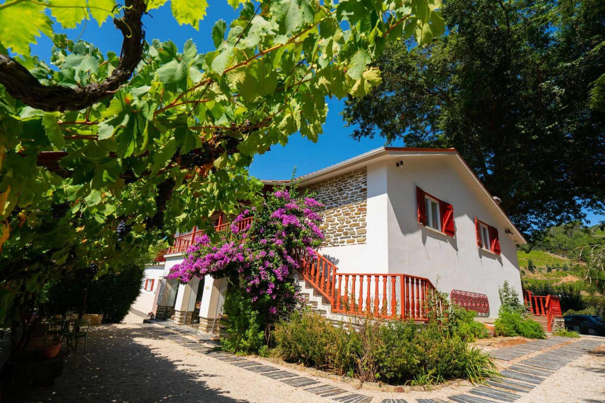 Quinta Da Pousada Casa De Campo Santa Marta de Penaguião Eksteriør billede