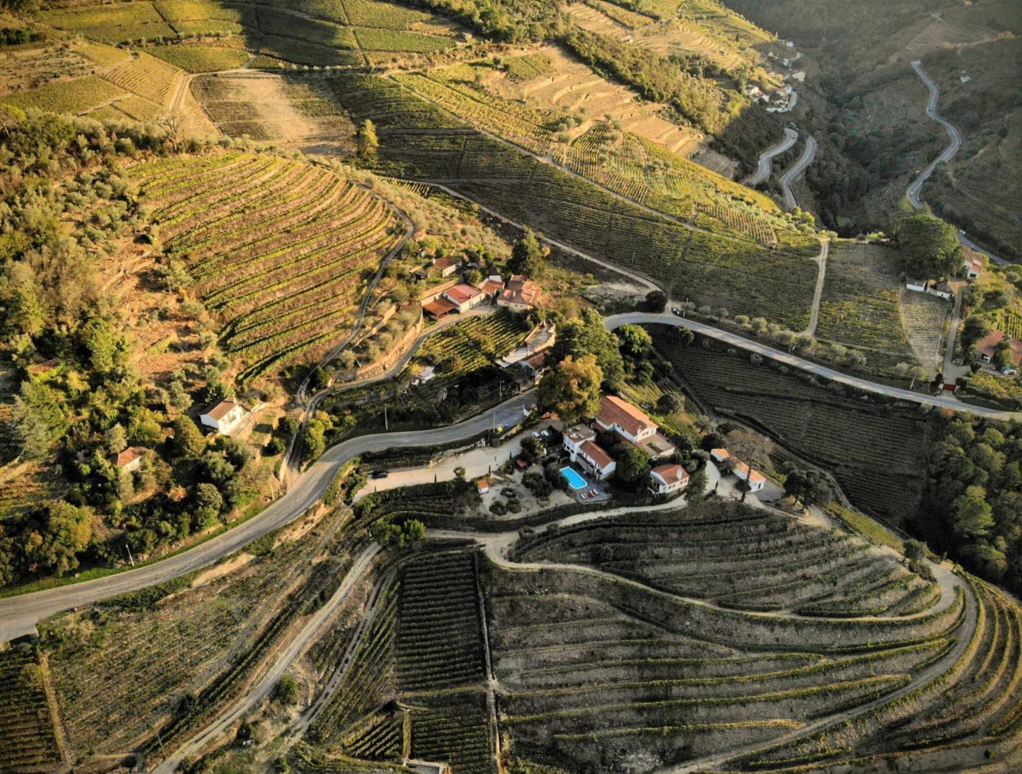 Quinta Da Pousada Casa De Campo Santa Marta de Penaguião Eksteriør billede